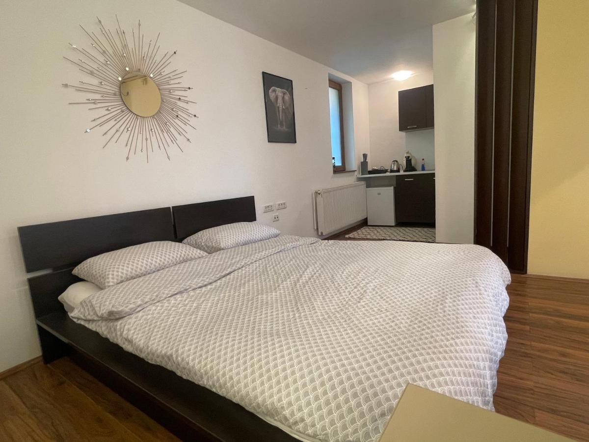 Savoya5 Old Citycenter Selfcheckin Workspacestudio Timisoara Ngoại thất bức ảnh